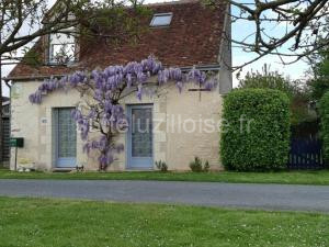 Évasion à Luzillé : Havre de Paix avec Jardin Privatif, proche Chenonceau et Beauval - FR-1-381-303 à Luzillé